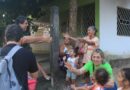 Netinho França e Odiléia caminham na rua José Coelho e visitam casa a casa