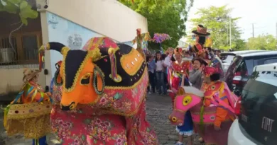 Dia do Folclore: Confira fotos do cortejo realizado nesta quinta-feira 22