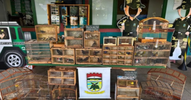 Polícia apreende 62 aves silvestres vendidas ilegalmente em feira da Esperança em Natal