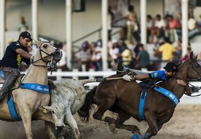 STF valida normas que autorizam vaquejadas desde que bem-estar animal seja protegido