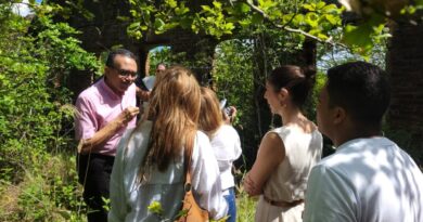 Representantes da Prefeitura de Macaíba, Governo do Estado e Judiciário fazem visita técnica a ruínas do Casarão dos Guarapes